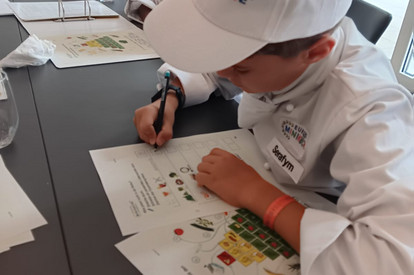 Ernährungslehre mit Sonja Steppich am 13. September 2025