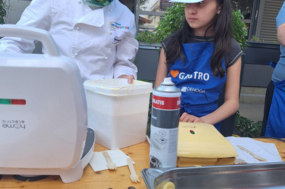 Sommerfest Lingnerterrassen