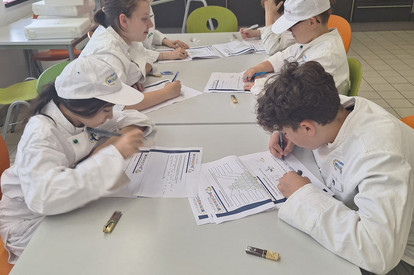 Wissenstest ,Käse-Ei-Omlett