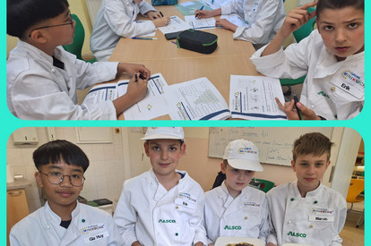 Wissenstest.....? Käse-Ei-Omlett