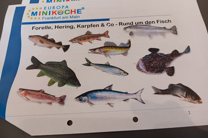 Praxis 6 am 21. Februar 2026