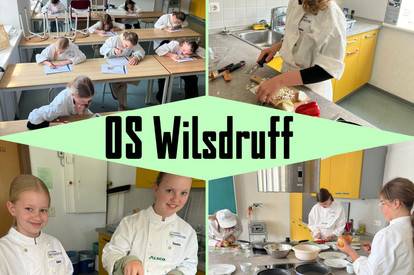 Wissenstest ,Käse-Ei-Omlett