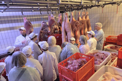 Erstes Miniköchetreffen St Wendel am 25.02.2026 mit der Hygieneschulung und Blick hinter die Kulissen