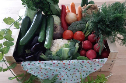 03. Theorieblock - Obst und Gemüse 