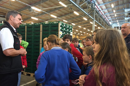 Betriebsbesichtigung Reichenau Gemüse